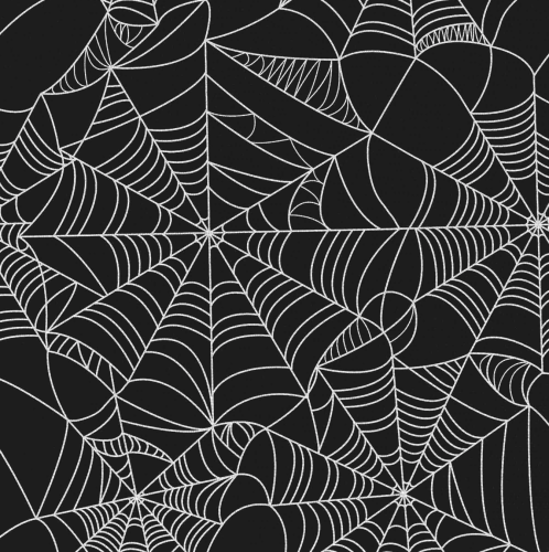 tkaninowy magazyn - tkaniny halloween - pajeczyna.png